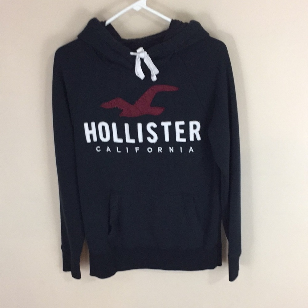 Hollister California Navy Bird Hoodie Hooded Sweatshirt Size XS
